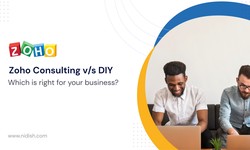 DIY vs. Professional Zoho Consulting