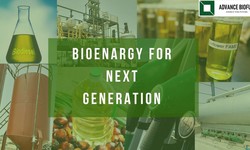 Transforming Waste to Wealth: India's Foremost Biofuel Plant Manufacturer