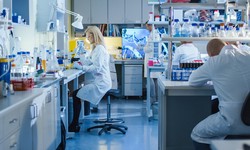 8 Things to Consider When Choosing Lab Equipment Suppliers in Kuwait