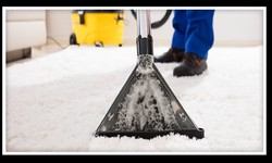 Refresh and Renew Professional Carpet Cleaning in Campbelltown