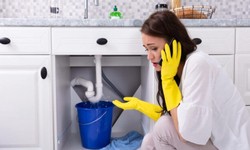 Consider This When Choosing Sydney Blocked Drain Plumbers