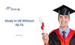 Are there any Ireland study abroad consultants in Noida and Delhi NCR