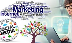 Boost Your Author Platform with Professional Book Marketing Services