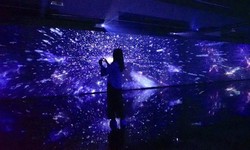 Enhancing the Viewing Experience With Holographic Displays in Entertainment