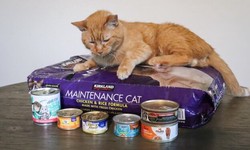 Revealing the Ultimate Nutrient Profile: Tiki Cat Food