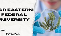 Exploring MBBS at Far Eastern Federal University: Fees, Admissions, and Life Abroad