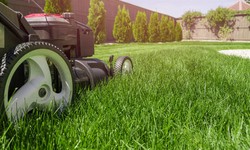 Why is professional landscaping important in Riyadh?