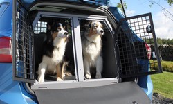 Pet Accessories: Making Life Better for Your Furry Friends