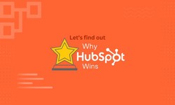 Why HubSpot Stands Out Among Software Enterprises