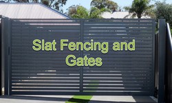 Mechanism and Working Process of Access Control Gates Sydney