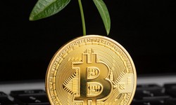 How to Buy and Sell Bitcoins in Nigeria: A Comprehensive Guide