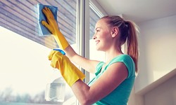 Why Winchester's Historic Buildings Require Specialized Window Cleaning Services