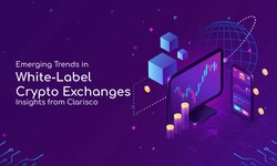 Emerging Trends in White-Label Crypto Exchanges: Insights from Clarisco