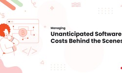 Managing Unanticipated Software Costs Behind the Scenes