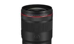 Choosing the Right Telephoto Lens: Tips and Considerations