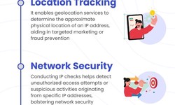 Exploring Different APIs to Get IP Info: Which One Is Right for You?