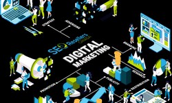 What to Expect from a SEO Agency