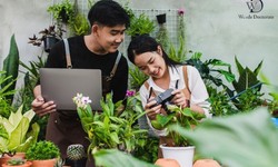 Hanoi's Best Environmental Science Dissertation Writing Service: Your Road to Academic Achievement