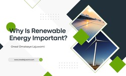 Oneal Omatseye Lajuwomi- Why Is Renewable Energy Important?