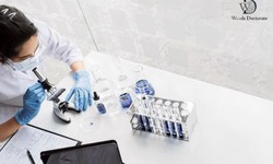 Marseilles Microbiology Paper and Dissertation Writing Service