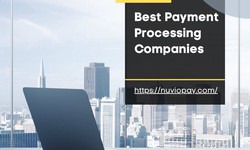 The Ultimate Guide to Payment Processing for Small Business | Nuviopay