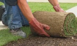 How to Choose the Best Turf Laying Services