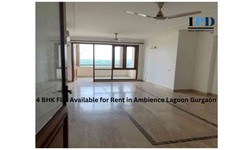 Flat For Rent In Ambience Lagoon Gurgaon
