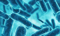 Microbial Biopharmaceuticals: Harnessing CRDMO Capabilities