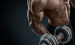 How to Maximize Muscle Growth with Effective Fitness Routines