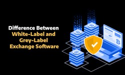 Difference Between White-Label and Grey-Label Exchange Software