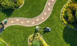 Seeking Expert Advice for Your Riyadh Landscape? Ask a Company!
