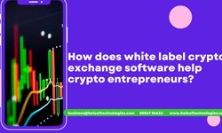 How does white label crypto exchange software help crypto entrepreneurs?
