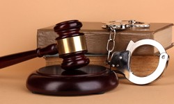 Legal Eagles: How Criminal Lawyers Fight for Justice