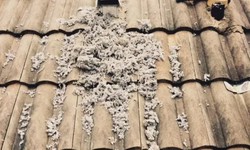 Finding Affordable Dryer Vent Cleaning in Cape Coral