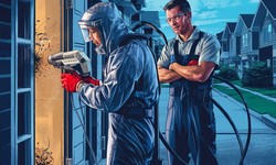 San Antonio Pest Control: Maintaining a Pest-Free Home