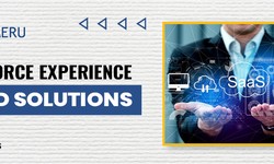 Transforming Customer Engagement with Salesforce Experience Cloud Solutions