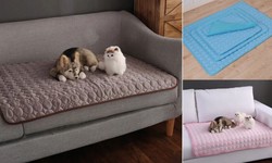 10 Best Cooling Pads for Dogs 2024 for Beating the Heat - Buy at Petsary