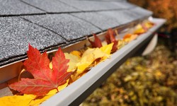 How Professional Gutter Cleaning Services Can Save Your Home