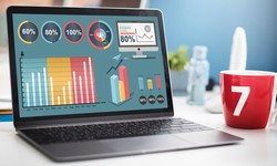 WordPress Statistics 2024: Usage and Market Share