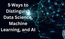 5 Ways to Distinguish Data Science, Machine Learning, and AI