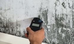 Mold and Air Quality Testing Near Me: Prioritizing Your Well-Being
