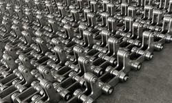 Optimizing Production Lines: Conveyor Chains for the Palm Oil Sector