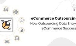 How Outsourcing Data Entry Improves Growth of E-commerce Businesses
