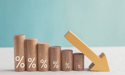 Maximizing Wealth: Strategies for Leveraging Appreciating Assets