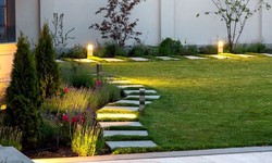 15 Essential Plants for Softscape Landscaping in Saudi Arabia