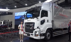 What to Check When Buying Used Isuzu Trucks: Essential Tips