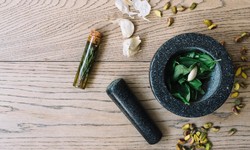 Unveiling the Similarities and Subtle Distinctions: Ayurvedic vs. Naturopathic Medicine