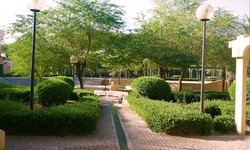 12 Must-Have Features for Hardscape Landscaping in Saudi Arabia
