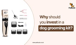 Why should you invest in a dog grooming kit?