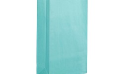 The Perfect Party Touch: Choosing the Best Paper Gift Bags